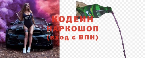 хмурый Алексин