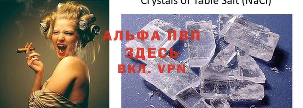 хмурый Алексин