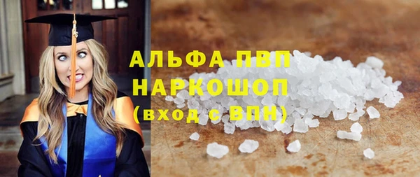 хмурый Алексин