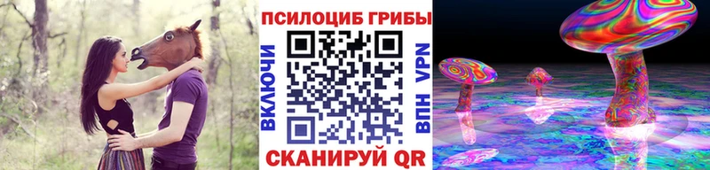 Галлюциногенные грибы ЛСД продажа наркотиков Ветлуга